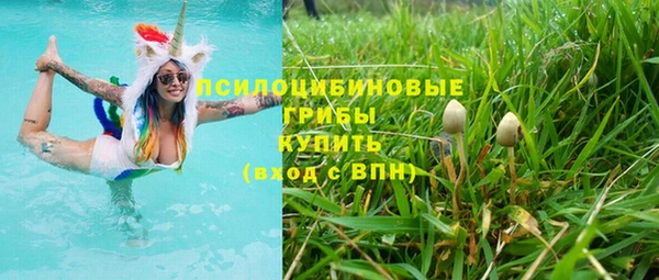 крисы Верхний Тагил