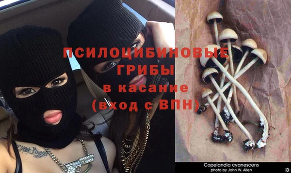 соль ск Верея