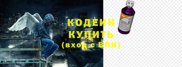 крисы Верхний Тагил